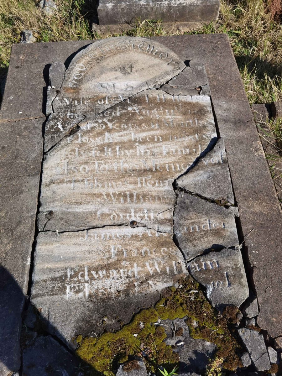 HALSE Grave