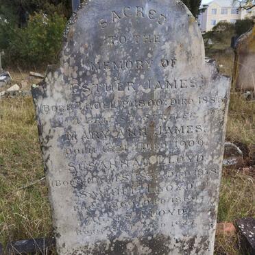 JAMES Ester nee TROLLIP 1800-1886 :: JAMES Mary Ann 1821-1909 :: LLOYD Susannah nee JAMES 1852-1878 :: LLOYD Samuel 1869-1869 :: LLOYD Agnes 1864-1927