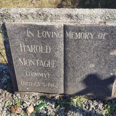 MONTAGUE Harold -1962