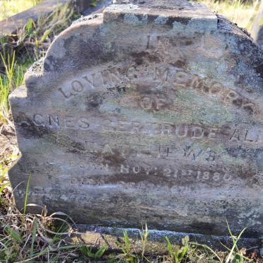 MATTHEWS Agnes Gertrude Alice 1880-188?