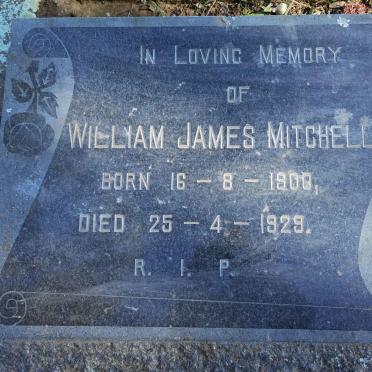 MITCHELL William James 1900-1929