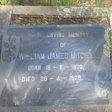 MITCHELL William James 1900-1929
