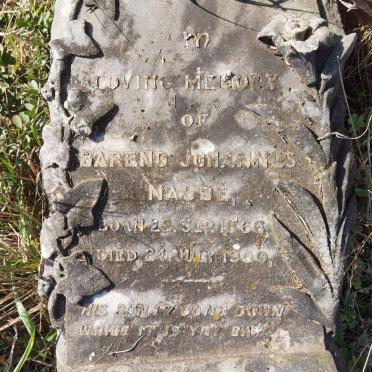 NAUDE Barend Johannes 1866-1900