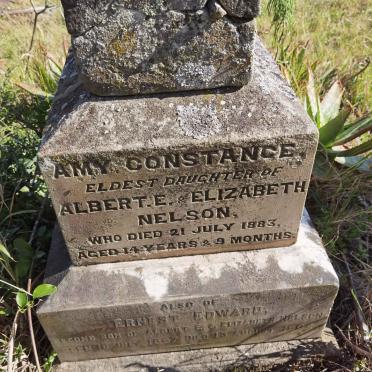 NELSON Amy Constance -1883 :: NELSON Ernest Edward 1867-1904