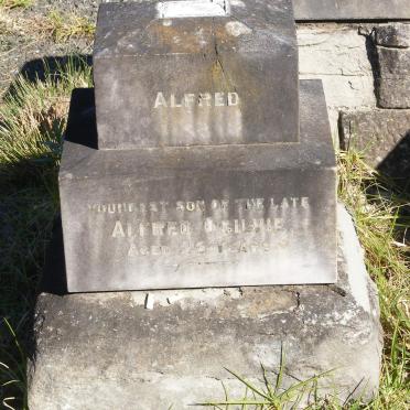 OGILVIE Alfred