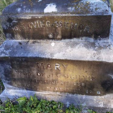 OGILVIE Mary 1838-1876