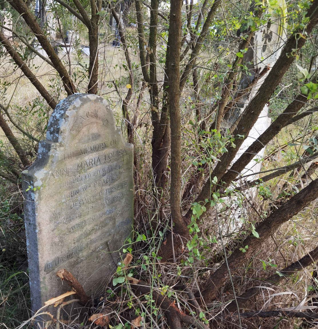PEACHEY Anne Maria Louisa -1869