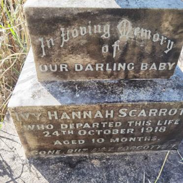 SCARROTT Ivy Hannah -1918