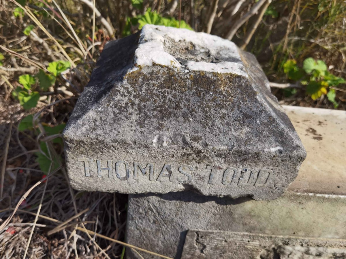 TODD Thomas -1891 _2