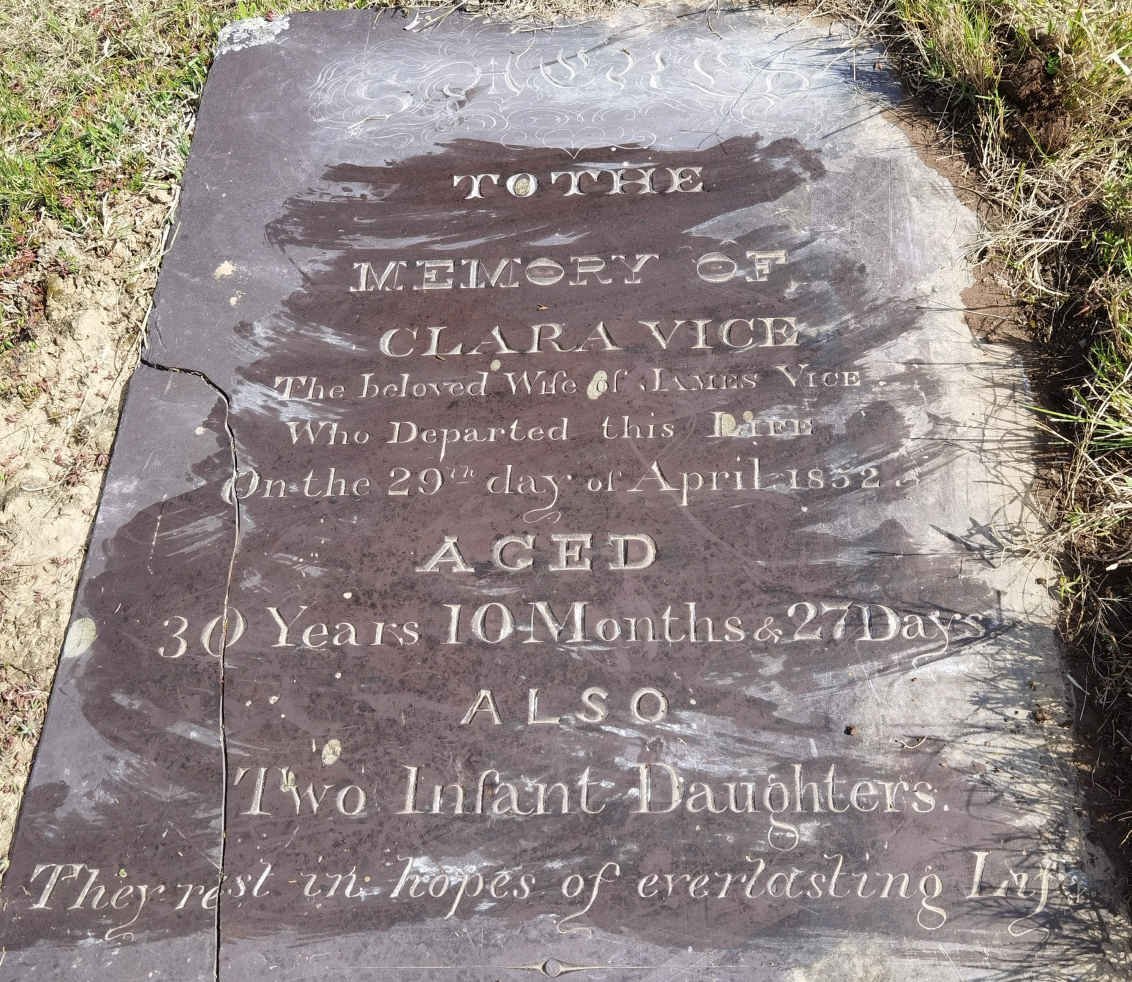 VICE Clara -1852
