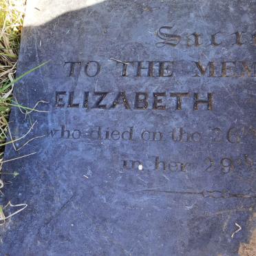 W? Elizabeth