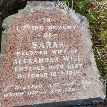 WILL Sarah -1914