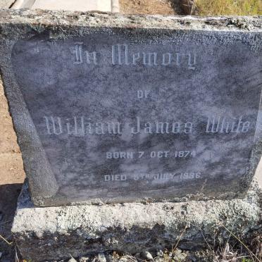 WHITE William James 1874-1936
