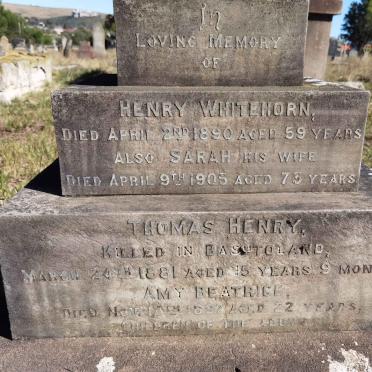 WHITEHORN Henry -1890 & Sarah -1905 :: WHITEHORN Thomas Henry -1881 :: WHITEHORN Amy Beatrice -1897