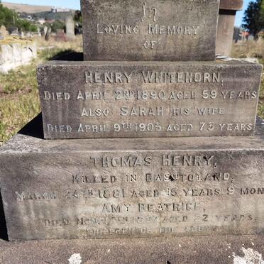 WHITEHORN Henry -1890 & Sarah -1905 :: WHITEHORN Thomas Henry -1881 :: WHITEHORN Amy Beatrice -1897