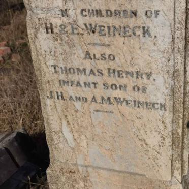 WEINECK Mabel :: WEINECK Daniel :: WEINECK Thomas Henry