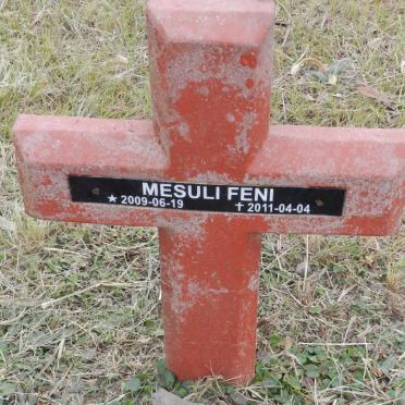FENI Mesuli 2009-2011