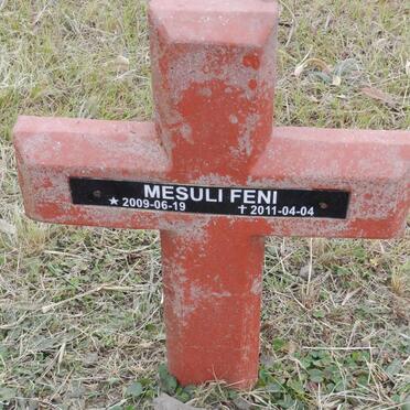 FENI Mesuli 2009-2011