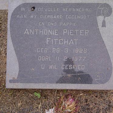 FITCHAT Anthonie Pieter 1928-1977