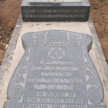 GOLDBERG Pincus -1955