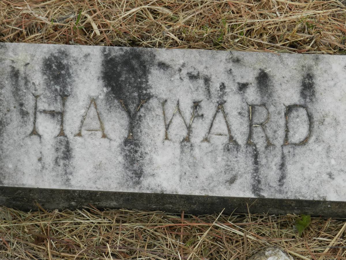 HAYWARD ?