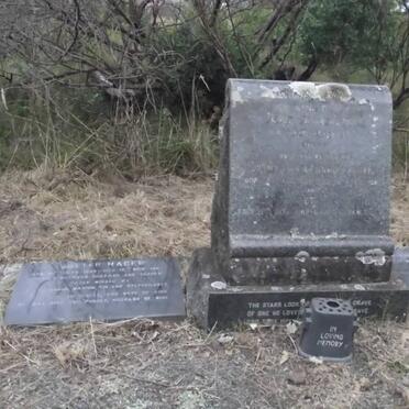 HAGEN :: ASHMEAD :: RENSBURG Janse van