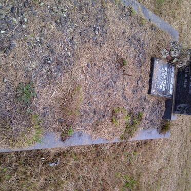 HUMAN I.P. 1920-1976