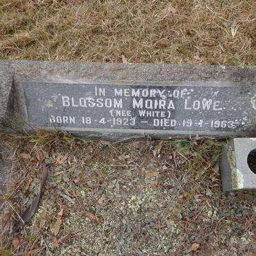 LOWE Blossom Moira nee WHITE 1923-1963