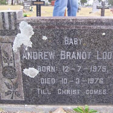 LOOTS Andrew Brandt 1975-1976
