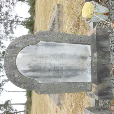 RANCHHOD Shree Gopalbha 191?-1968 :: RANCHHOD Ballakhmi Gopad -1931 :: RANCHHOD Baby -1931