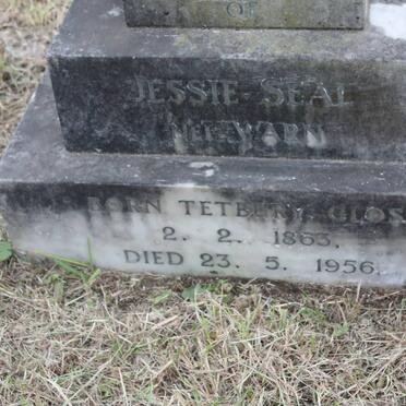 SEAL Jessie nee WARN 1863-1956