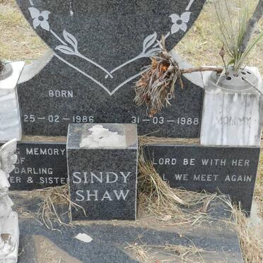SHAW Sindy 1986-1988