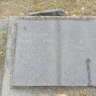 TRIBE Albert Edward &amp; Edith Maude JONES