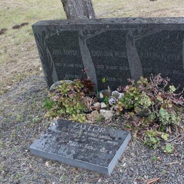 TOPPER :: WEBB :: TAYLOR