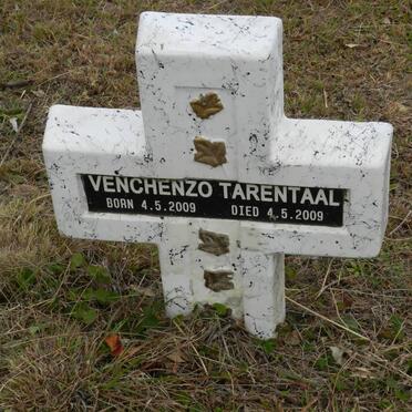 TARENTAAL Venchenzo 2009-2009