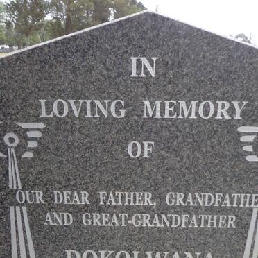 VOYI Dokolwana 1930-2010