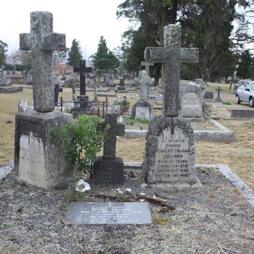 WESTWATER :: WILLIAMS