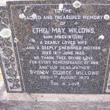 WILLOWS Sydney George -1973 &amp; Ethel May MACKINTOSH -1952
