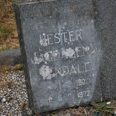 Ye - Surnames starting with the letters Ye