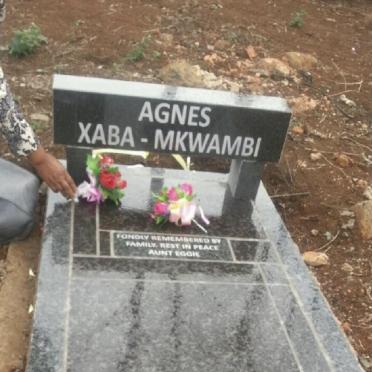 XABA Agnes, MKWAMBI