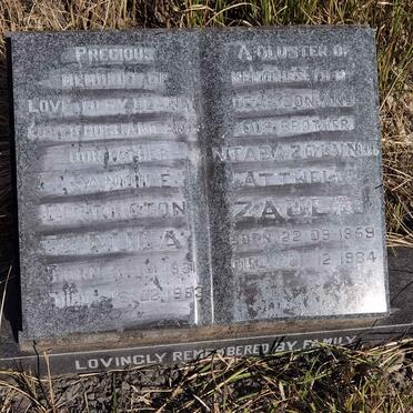 ZAULA Sandile Dorrington 1931-1983 :: ZAULA Ntaba Zolun Attwell 1959-1984