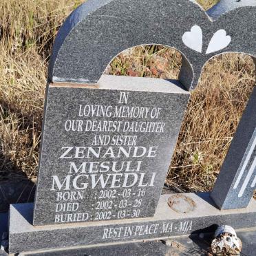 MGWEDLI Zenande Mesuli 2002-2002