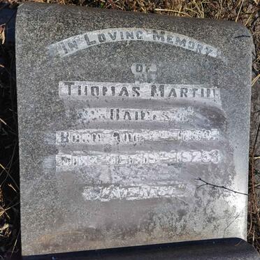 DAINES Thomas Martin 1864-1925