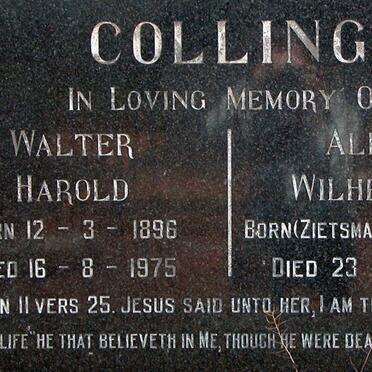 COLLING Walter Harold 1896-1975 &amp; Aletta Wilhelmina ZIETSMAN 1903-1974