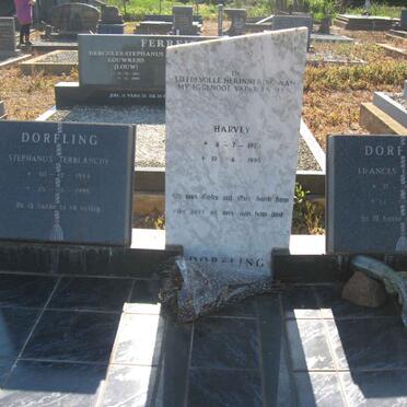 DORFLING Stefanus Terblanche 1933-1998 :: DORFLING Harvey 1970-1999 :: DORFLING Frances Elizabeth 1936-2000