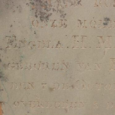 MARAIS Engela H. nee VAN HEERDEN 1870-1905