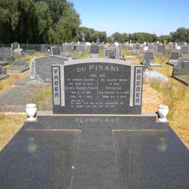 PISANI Daniel Andries Swart, du 1898-1993 &amp; Wesseline 11905-1979