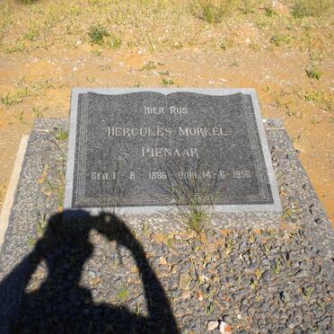 PIENAAR Hercules Morkel 1886-1956