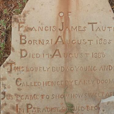 TAUTE Francis James 1885-1886
