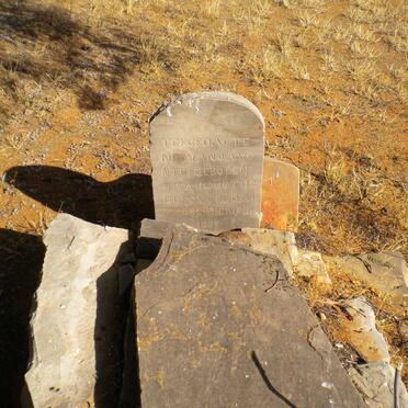 VENTER J.A. 18??-1888